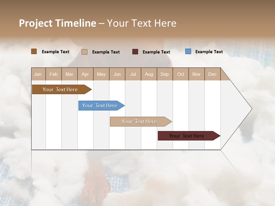 A Brown Dog Sitting On Top Of A Pile Of Cotton PowerPoint Template