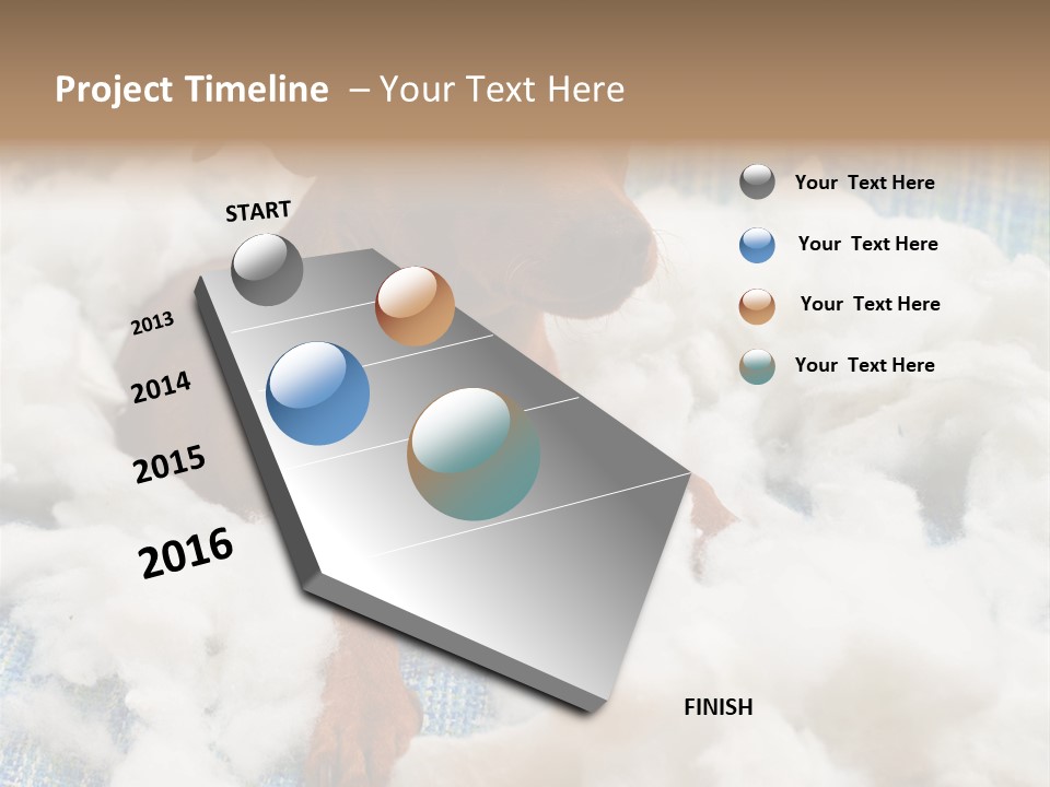 A Brown Dog Sitting On Top Of A Pile Of Cotton PowerPoint Template