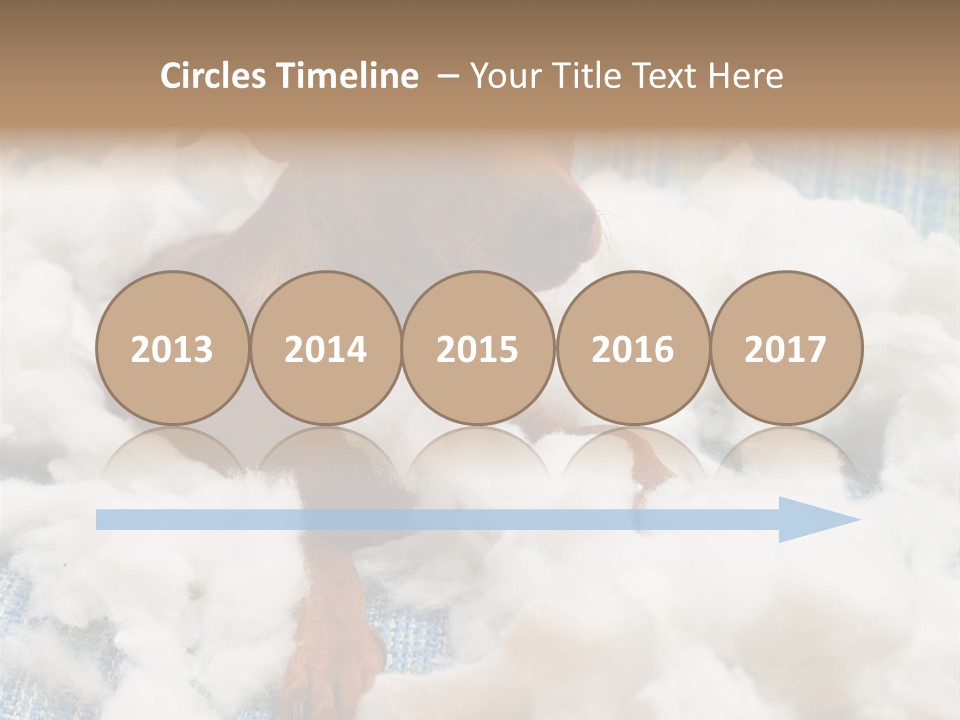 A Brown Dog Sitting On Top Of A Pile Of Cotton PowerPoint Template