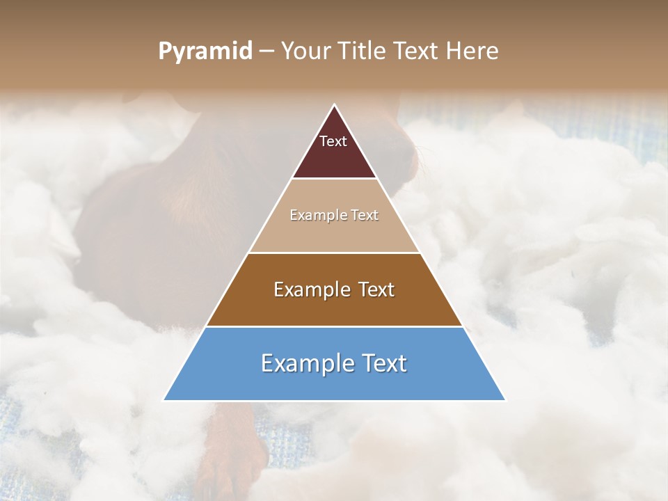 A Brown Dog Sitting On Top Of A Pile Of Cotton PowerPoint Template
