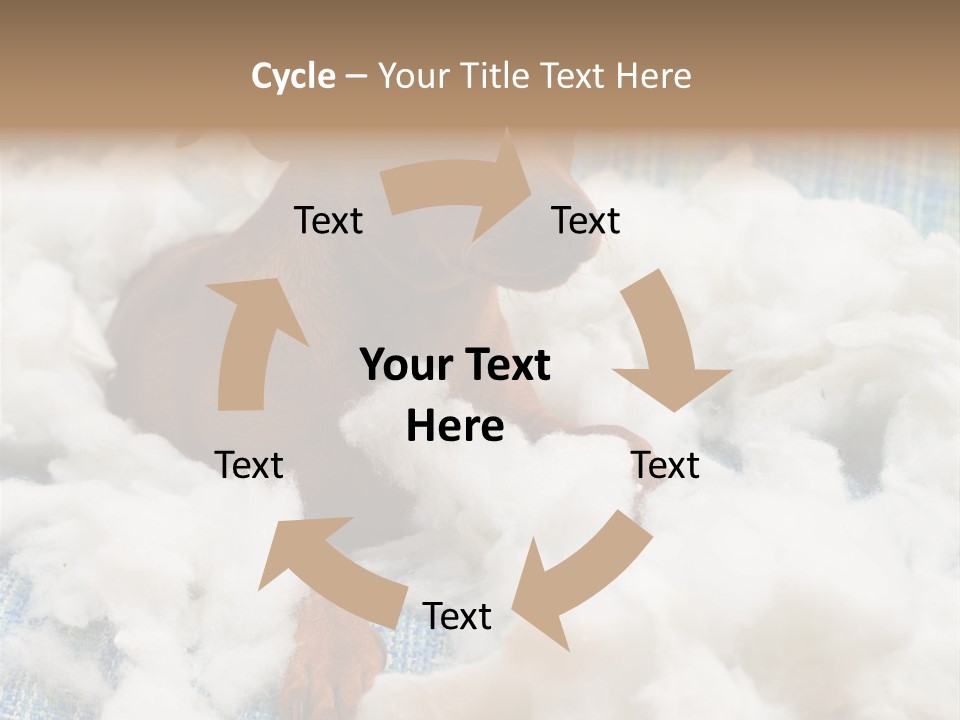 A Brown Dog Sitting On Top Of A Pile Of Cotton PowerPoint Template