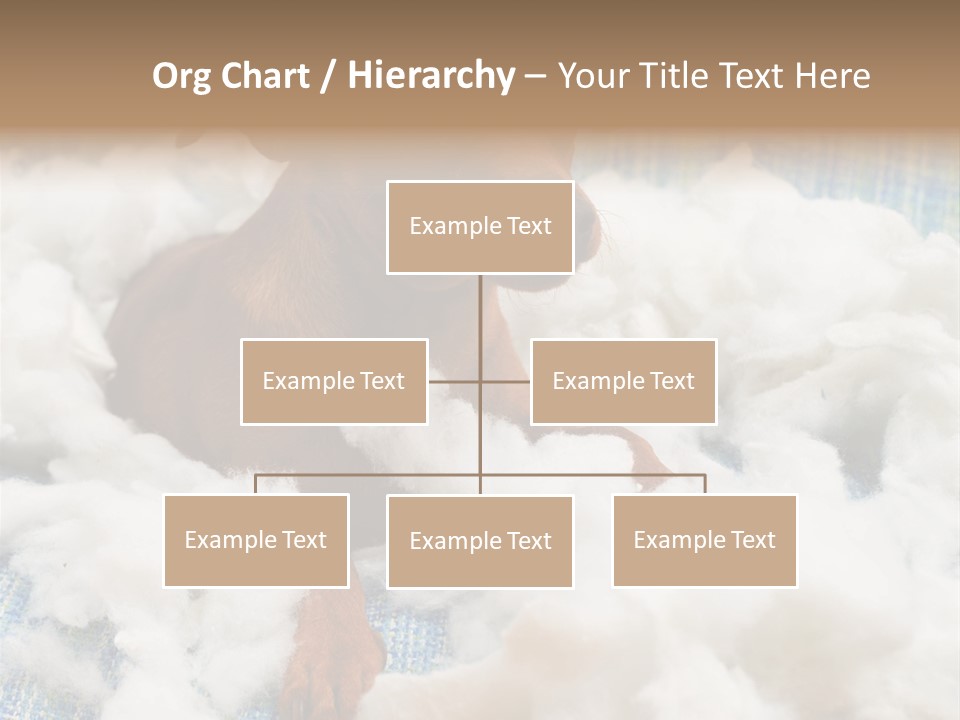 A Brown Dog Sitting On Top Of A Pile Of Cotton PowerPoint Template