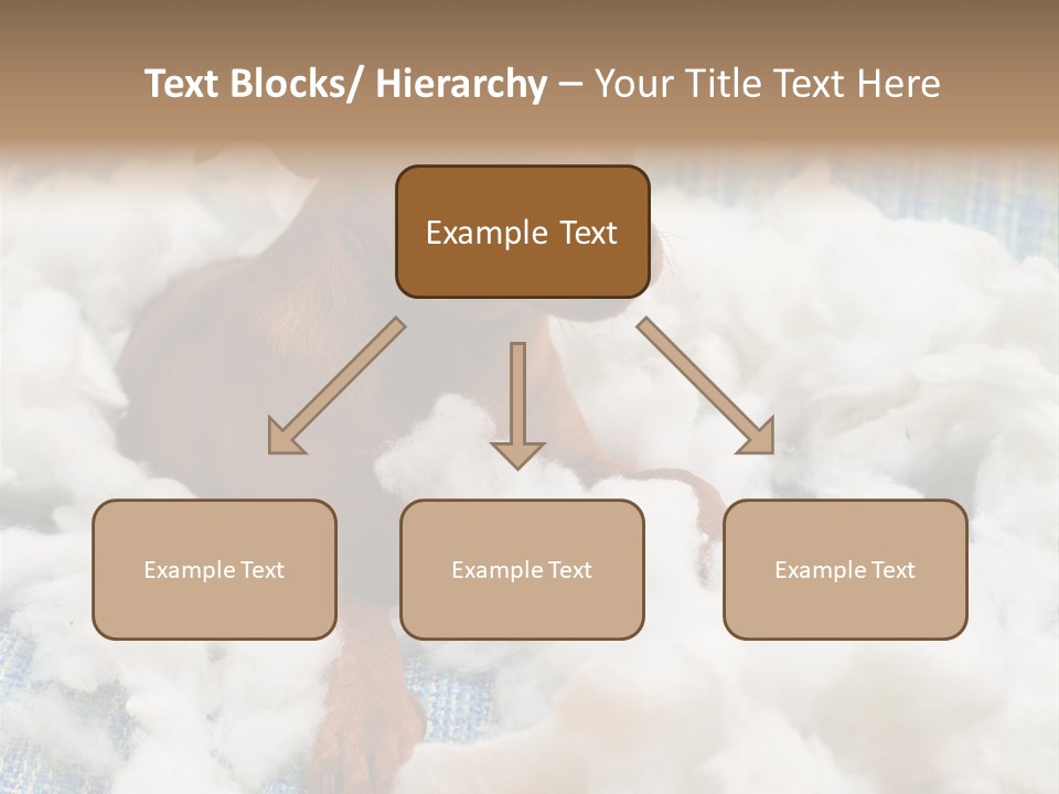 A Brown Dog Sitting On Top Of A Pile Of Cotton PowerPoint Template