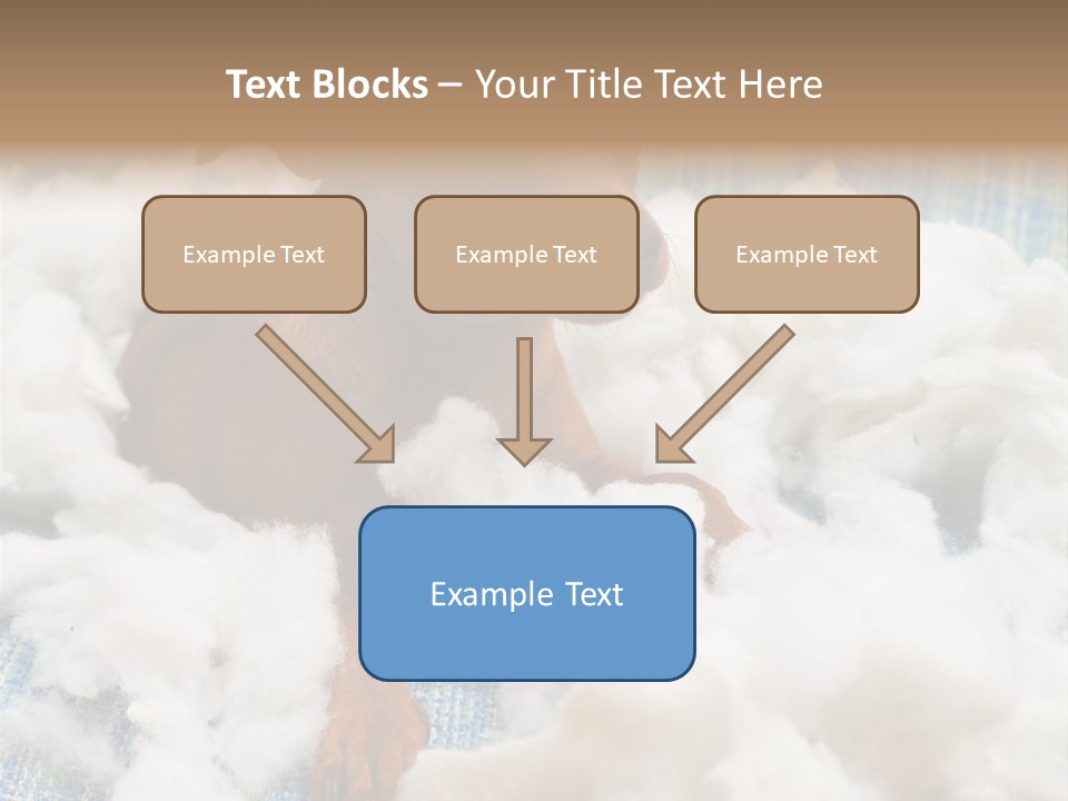 A Brown Dog Sitting On Top Of A Pile Of Cotton PowerPoint Template