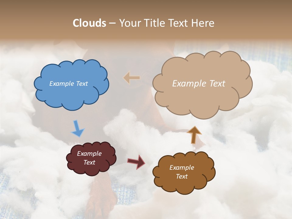 A Brown Dog Sitting On Top Of A Pile Of Cotton PowerPoint Template