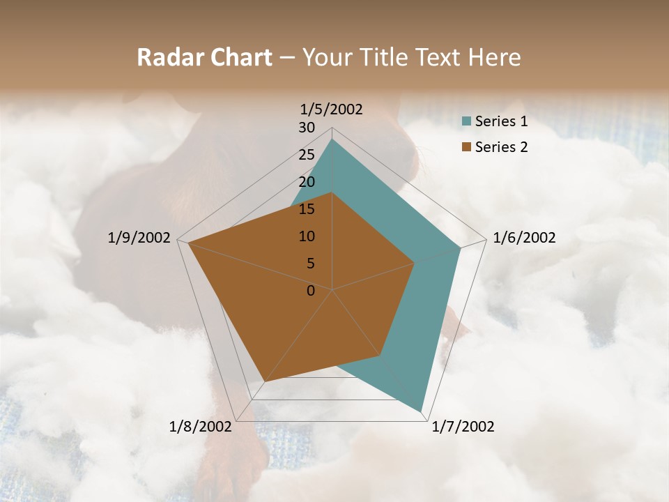 A Brown Dog Sitting On Top Of A Pile Of Cotton PowerPoint Template