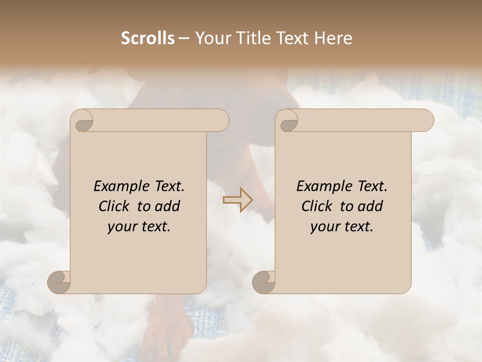 A Brown Dog Sitting On Top Of A Pile Of Cotton PowerPoint Template