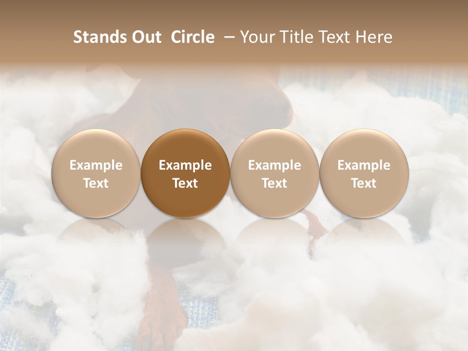 A Brown Dog Sitting On Top Of A Pile Of Cotton PowerPoint Template