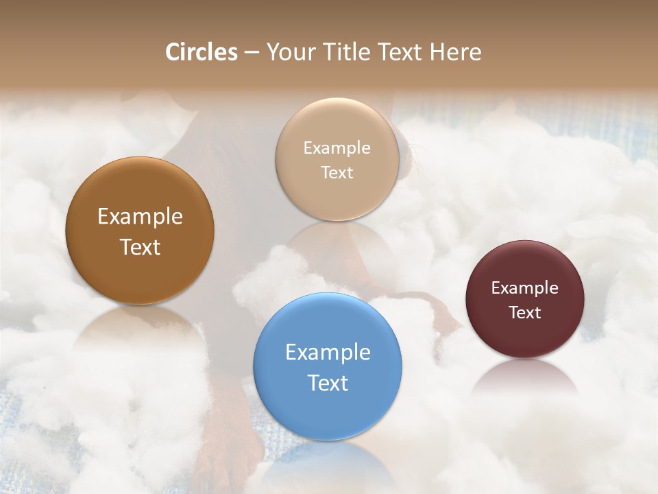 A Brown Dog Sitting On Top Of A Pile Of Cotton PowerPoint Template