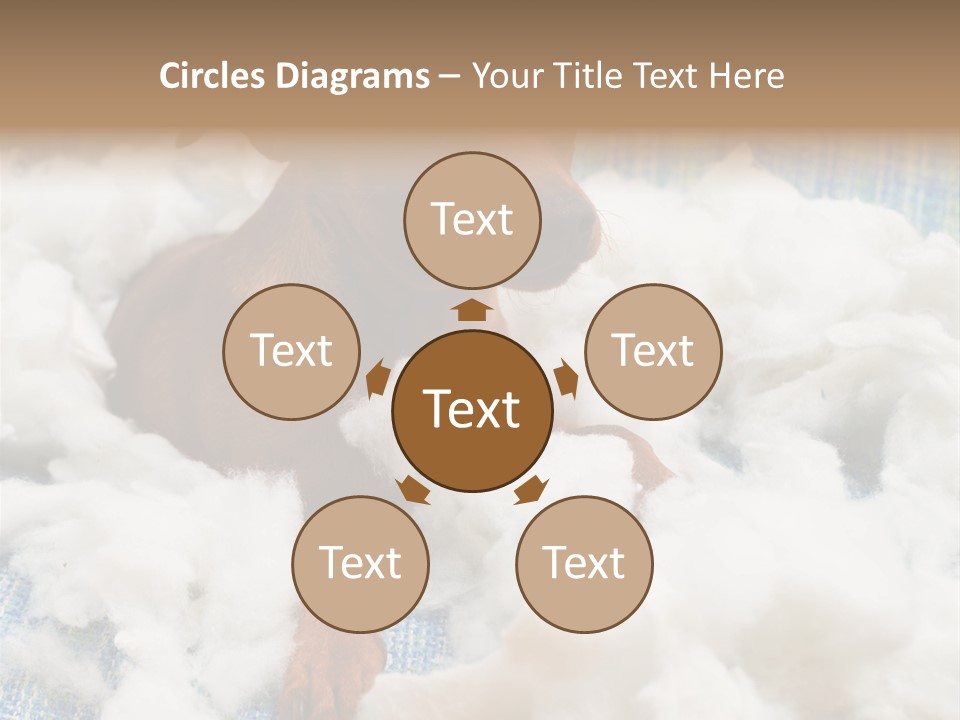 A Brown Dog Sitting On Top Of A Pile Of Cotton PowerPoint Template