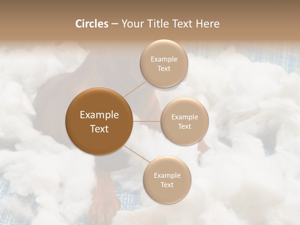 A Brown Dog Sitting On Top Of A Pile Of Cotton PowerPoint Template