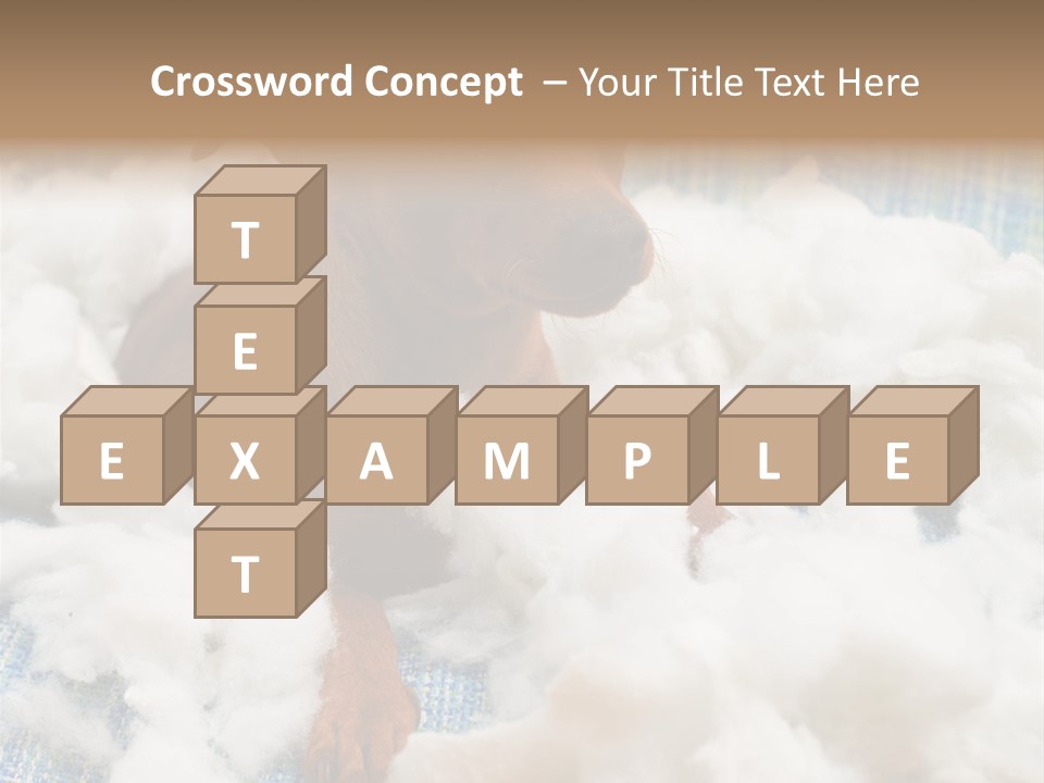 A Brown Dog Sitting On Top Of A Pile Of Cotton PowerPoint Template