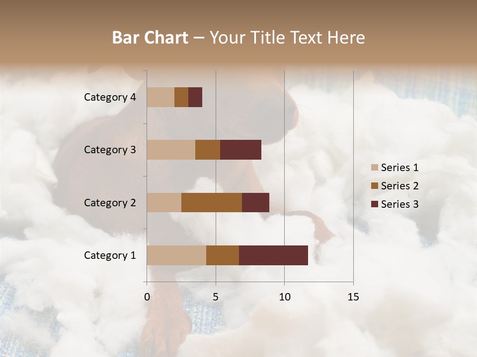 A Brown Dog Sitting On Top Of A Pile Of Cotton PowerPoint Template