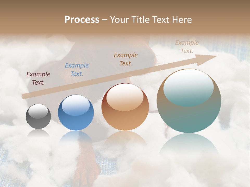 A Brown Dog Sitting On Top Of A Pile Of Cotton PowerPoint Template
