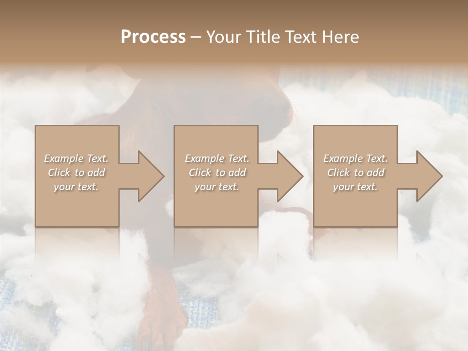 A Brown Dog Sitting On Top Of A Pile Of Cotton PowerPoint Template