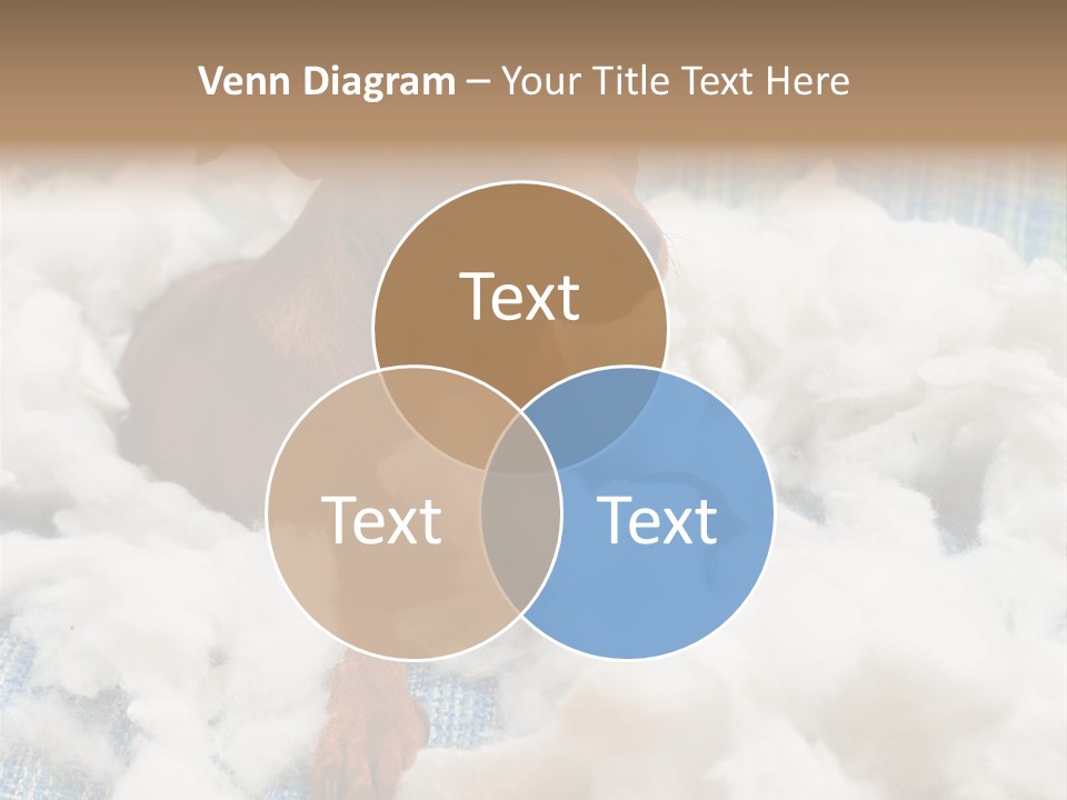A Brown Dog Sitting On Top Of A Pile Of Cotton PowerPoint Template