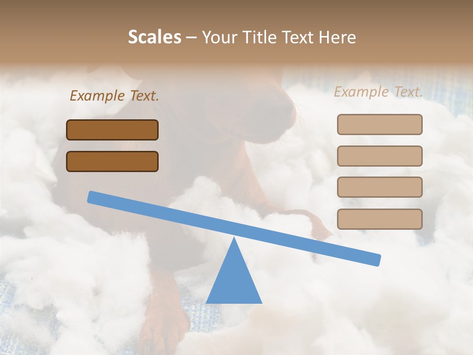 A Brown Dog Sitting On Top Of A Pile Of Cotton PowerPoint Template
