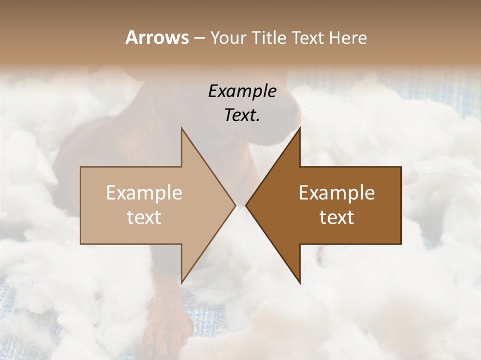 A Brown Dog Sitting On Top Of A Pile Of Cotton PowerPoint Template