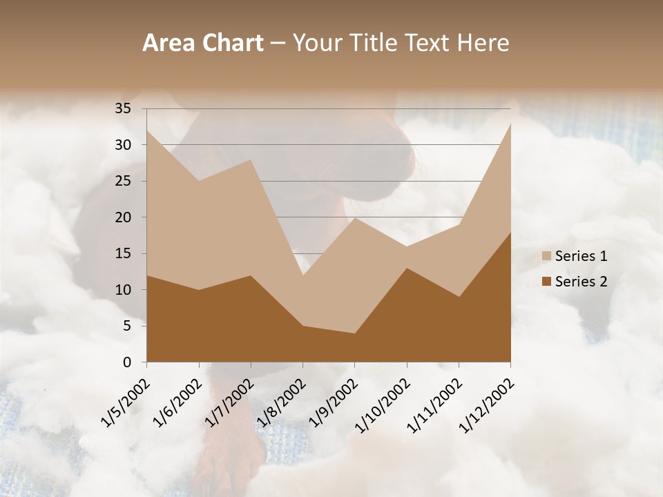 A Brown Dog Sitting On Top Of A Pile Of Cotton PowerPoint Template