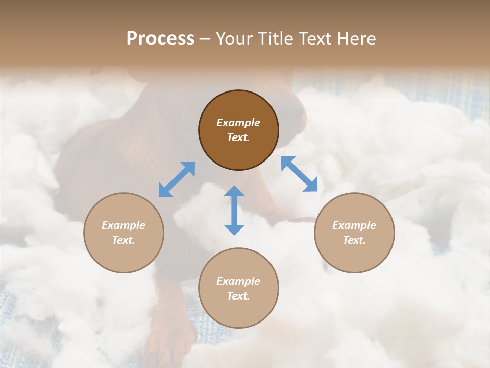 A Brown Dog Sitting On Top Of A Pile Of Cotton PowerPoint Template
