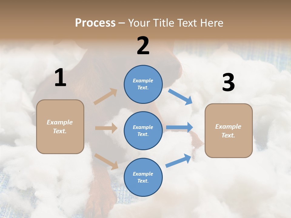 A Brown Dog Sitting On Top Of A Pile Of Cotton PowerPoint Template