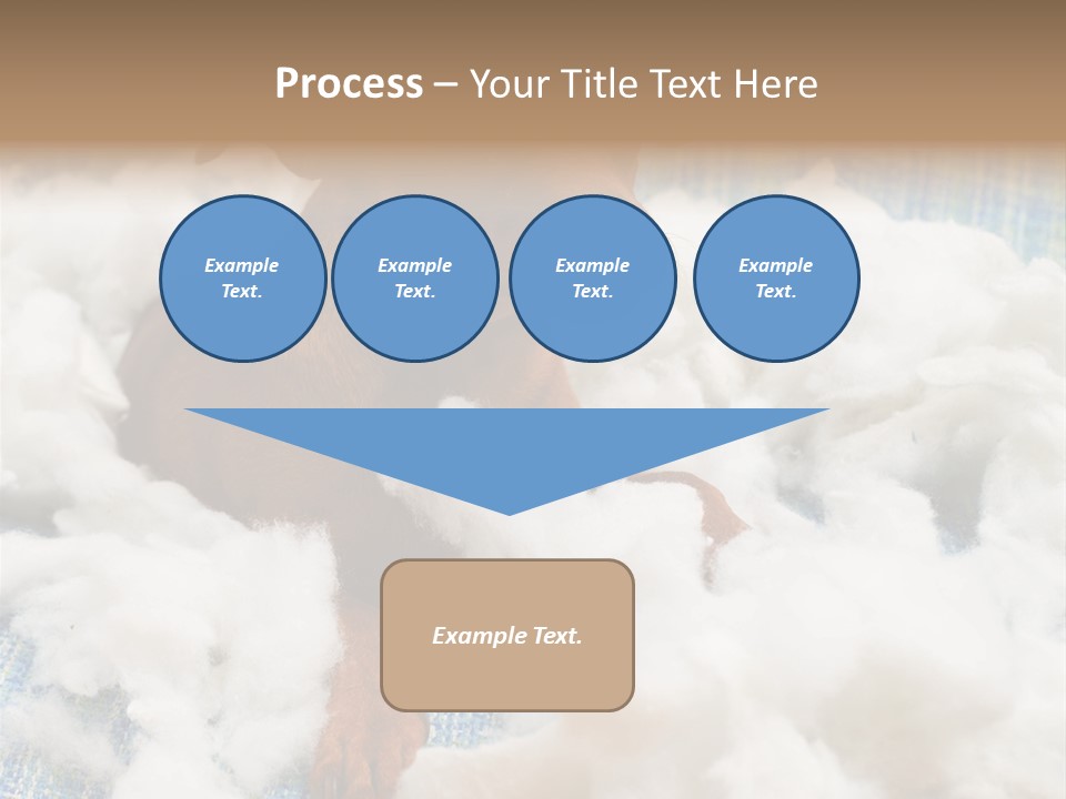 A Brown Dog Sitting On Top Of A Pile Of Cotton PowerPoint Template