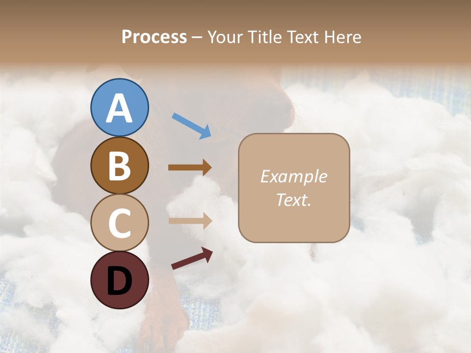 A Brown Dog Sitting On Top Of A Pile Of Cotton PowerPoint Template