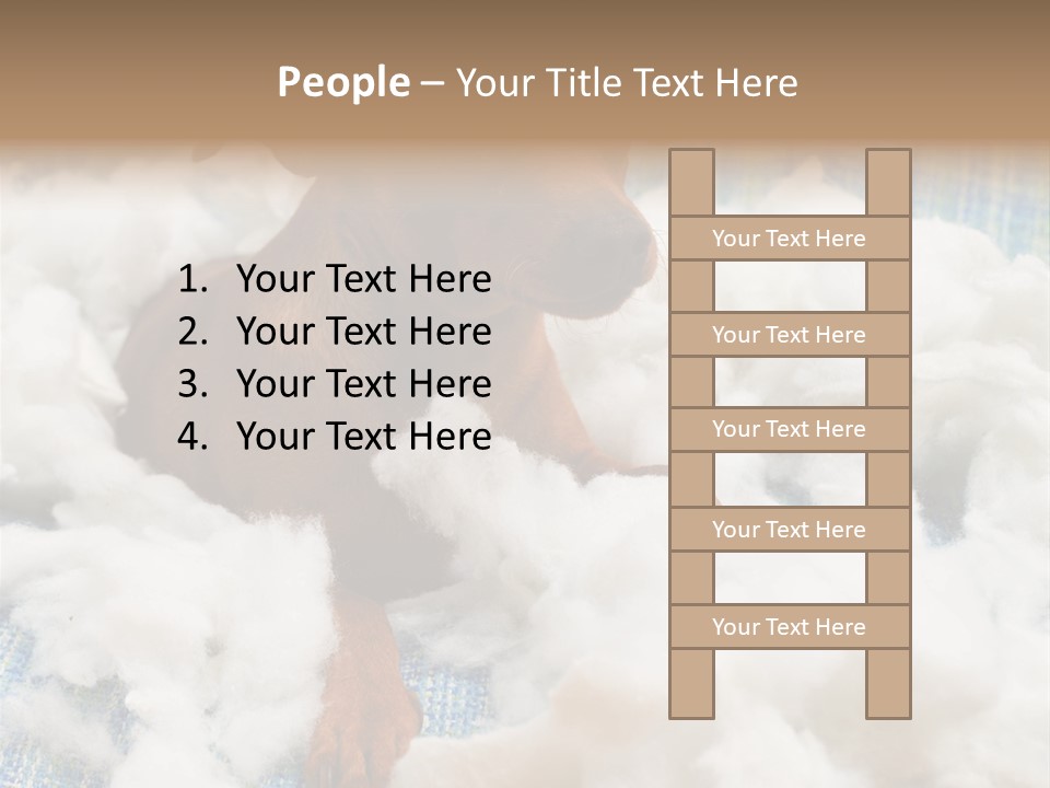 A Brown Dog Sitting On Top Of A Pile Of Cotton PowerPoint Template