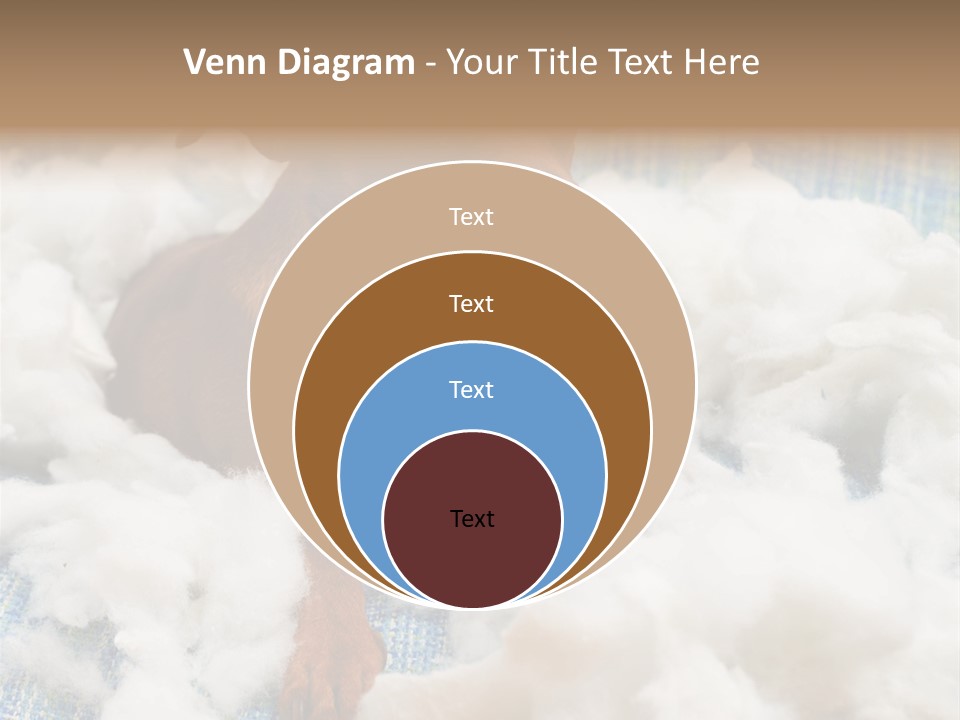 A Brown Dog Sitting On Top Of A Pile Of Cotton PowerPoint Template