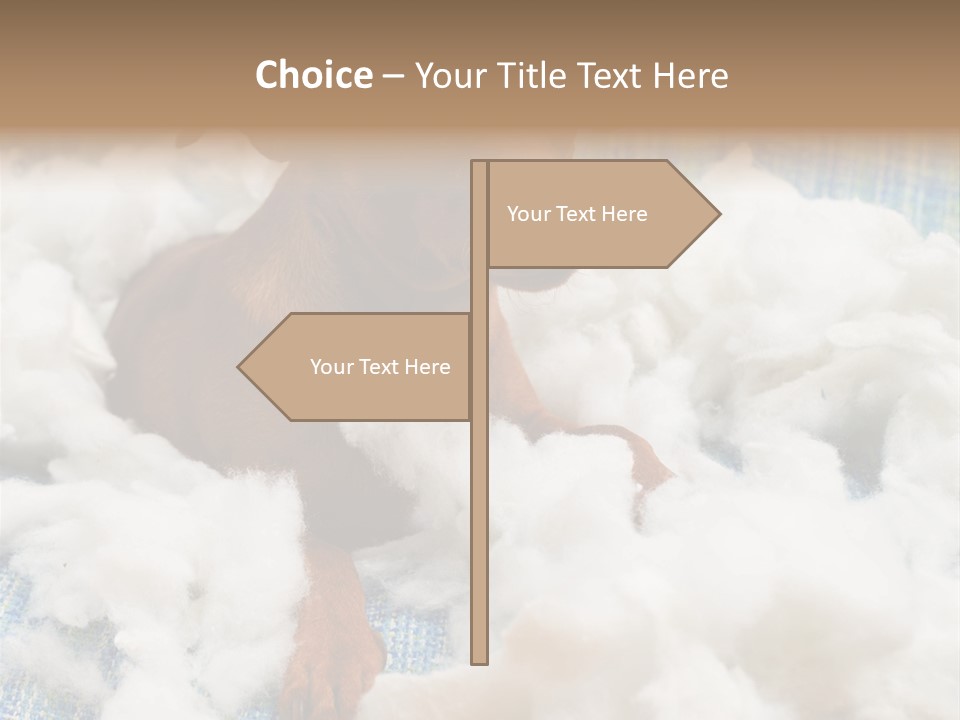 A Brown Dog Sitting On Top Of A Pile Of Cotton PowerPoint Template