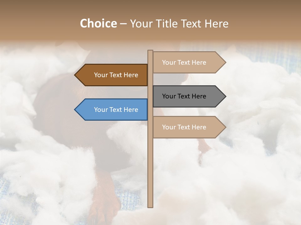 A Brown Dog Sitting On Top Of A Pile Of Cotton PowerPoint Template