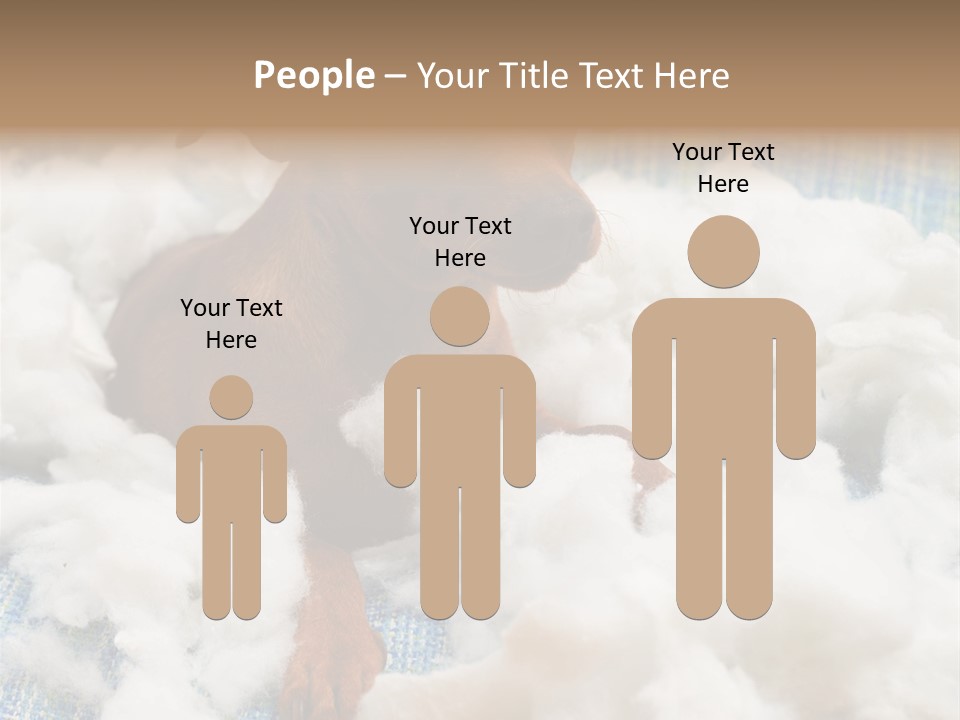 A Brown Dog Sitting On Top Of A Pile Of Cotton PowerPoint Template