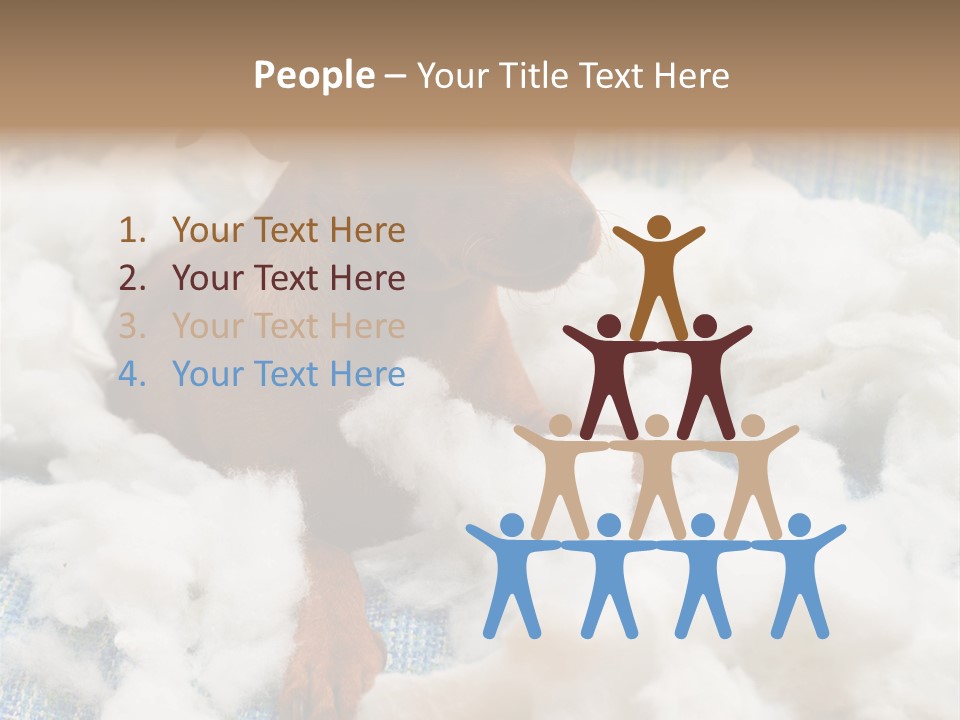 A Brown Dog Sitting On Top Of A Pile Of Cotton PowerPoint Template