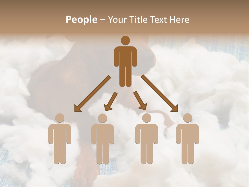 A Brown Dog Sitting On Top Of A Pile Of Cotton PowerPoint Template