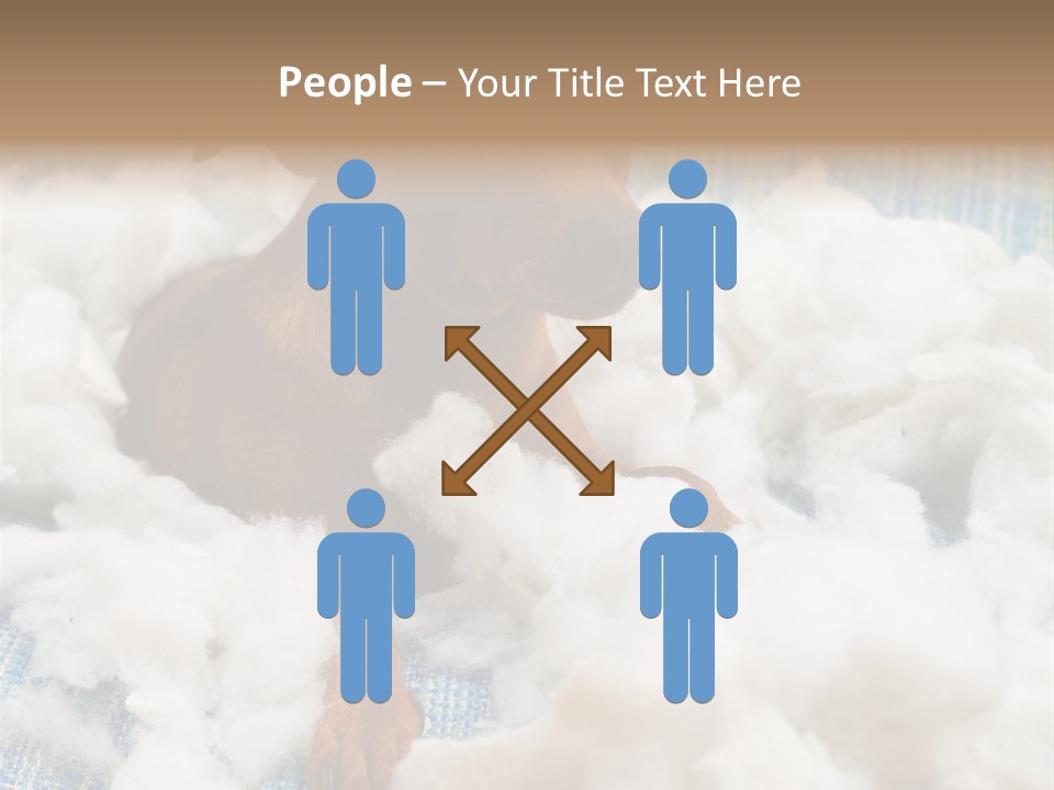 A Brown Dog Sitting On Top Of A Pile Of Cotton PowerPoint Template