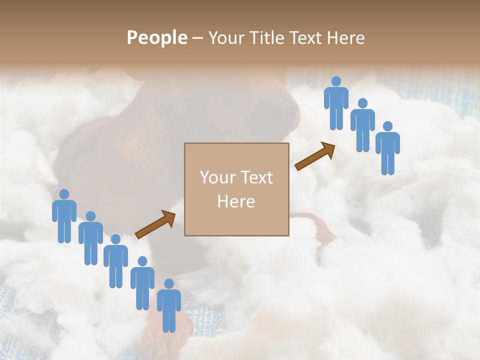 A Brown Dog Sitting On Top Of A Pile Of Cotton PowerPoint Template