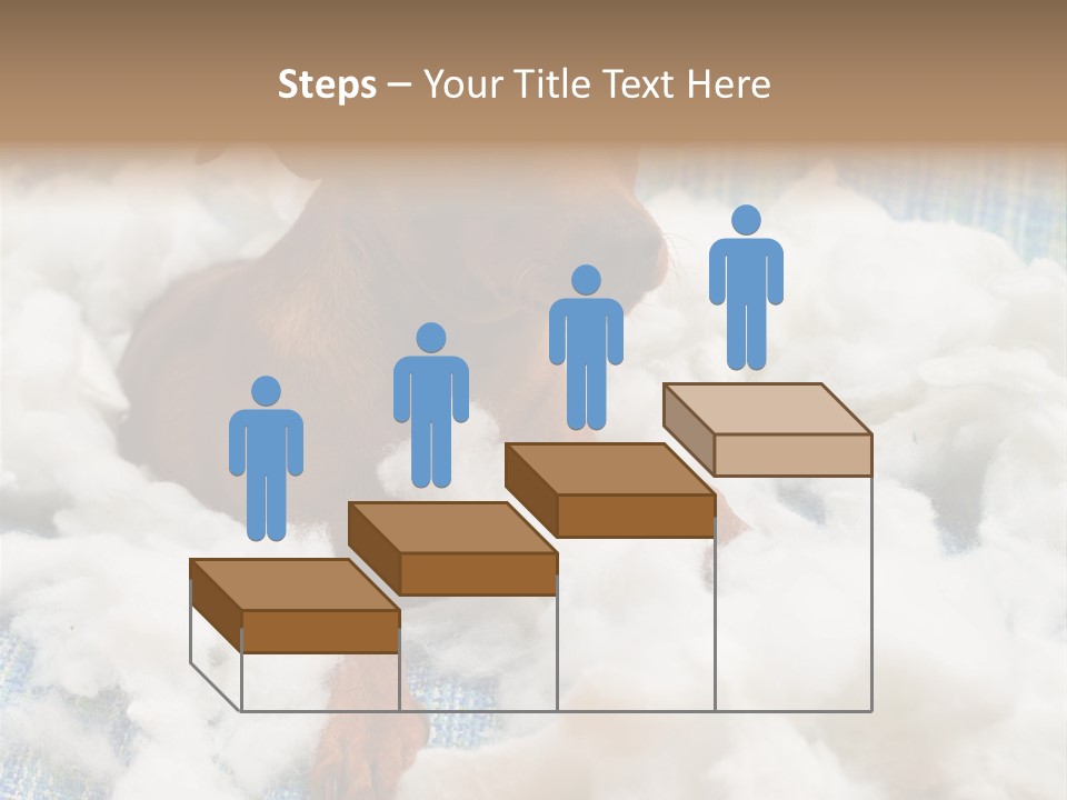 A Brown Dog Sitting On Top Of A Pile Of Cotton PowerPoint Template