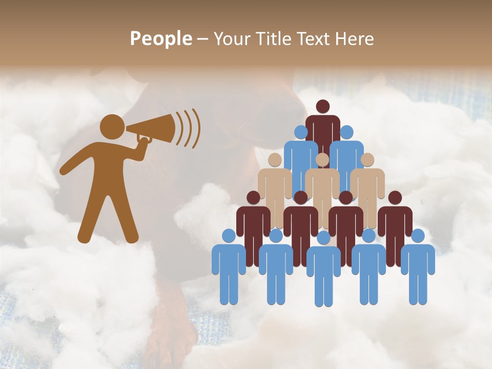 A Brown Dog Sitting On Top Of A Pile Of Cotton PowerPoint Template