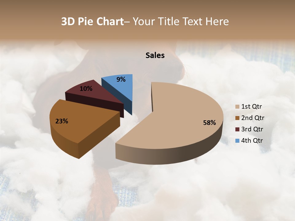 A Brown Dog Sitting On Top Of A Pile Of Cotton PowerPoint Template