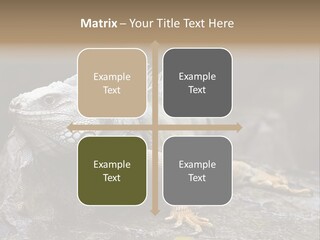 Amazing Profile Tree PowerPoint Template