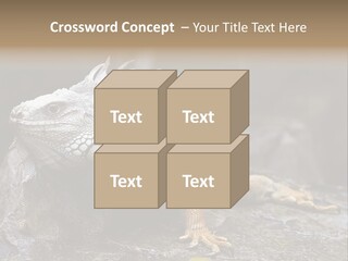 Amazing Profile Tree PowerPoint Template