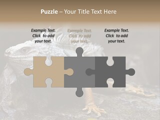 Amazing Profile Tree PowerPoint Template