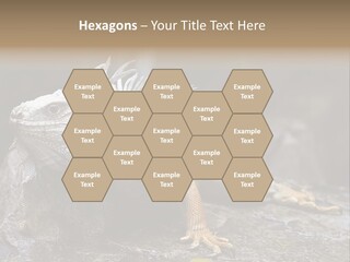 Amazing Profile Tree PowerPoint Template