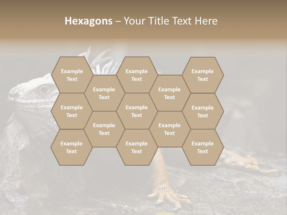 Amazing Profile Tree PowerPoint Template