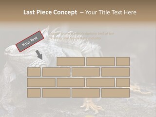 Amazing Profile Tree PowerPoint Template