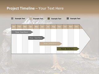 Amazing Profile Tree PowerPoint Template