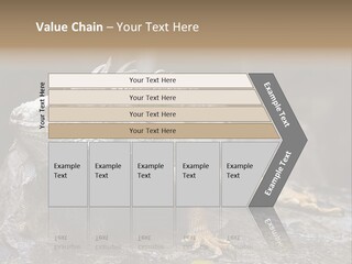 Amazing Profile Tree PowerPoint Template