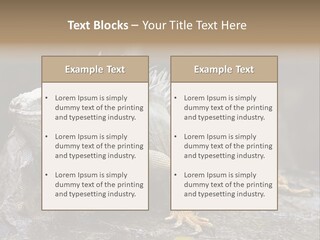 Amazing Profile Tree PowerPoint Template