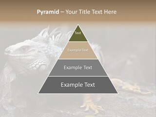 Amazing Profile Tree PowerPoint Template