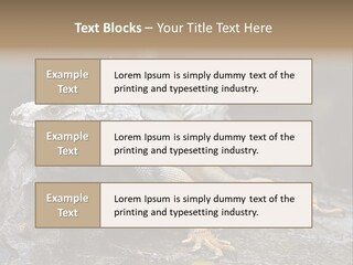 Amazing Profile Tree PowerPoint Template